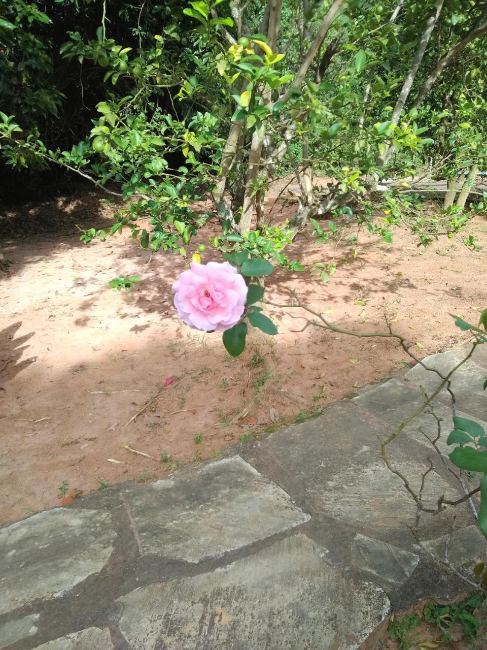 Sitio Vale Das Montanhas São Tomé das Letras Exterior foto